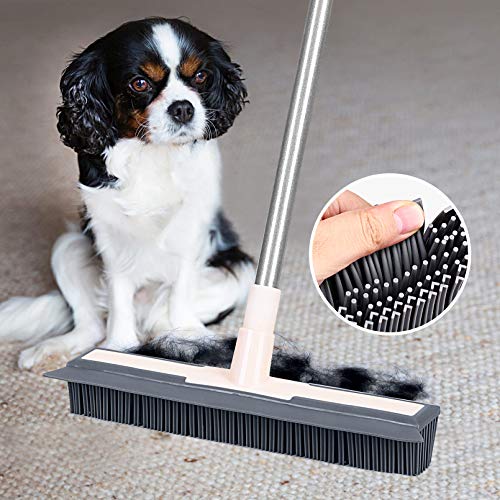 Holulo 2 in1 Rubber Broom with Squeegee for Pet Hair Removal Bathroom