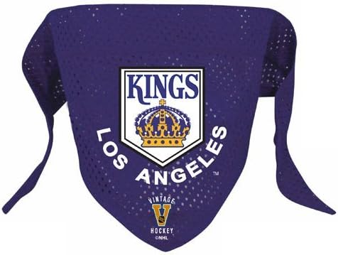 la kings dog jersey