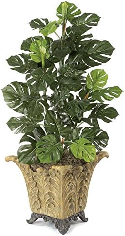 Autograph Foliages P-3454 4 ft. Split Leaf Philodendron Bush, Green