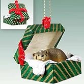 Conversation Concepts Badger Gift Box Christmas Ornament - Delightful!