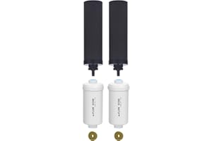 FACHIOO NSF/ANSI 375 Certified Water Filter, Replacement for Berkey® BB9-2® Black Filters & PF-2® Fluoride Filters Purification Elements and Berkey® Gravity Filter System, Pack of 4