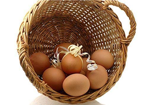 HAKACC Easter Eggs Wooden Fake Eggs 9 Pieces 2 Colors