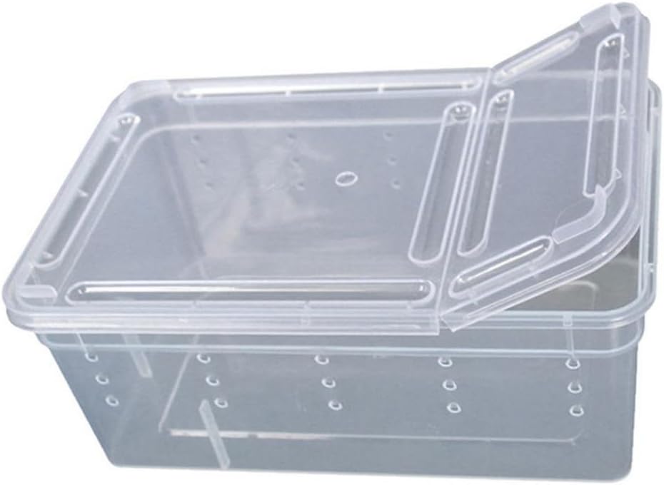 SoundsBeauty Transparent Plastic Amphibian Insect Reptile Breeding Box Transport Feeding Case