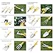 MOSFiATA Garden Tool Set 14 Pcs Stainless Steel Garden Tool Kit with Carrying Case, Heavy Duty Gardening Work Set, Include Pruner, Mini Rake, Big and Small Shovel, Sprayer, Weeder, Scissor etc.
