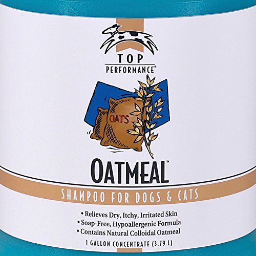Top Performance Oatmeal Dog and Cat Shampoo, 1Gallon Pricepulse