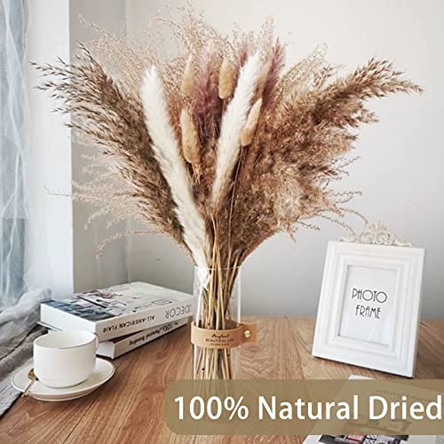 DomeStar Pampas Grass, 130PCS Dried Pampas Grass Bunny Tail Grass Reed Boho Decor for Wedding Home Wall Vase