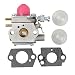 Savior WT973 Carburetor for Bolens BL110 BL125 BL160 Troy Bilt TB80EC Carburetor TB21EC TB22EC TB32EC TB42BC MTD 753-06190 Weedeater Trimmer 753 06190 753-06423 primary