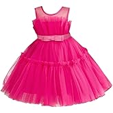 Dressy Daisy Baby Toddler Girls' Special Occasion Dress Tulle Ball Gown for Wedding Birthday Christmas Flower Girl 12M-7