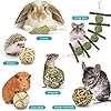 ERKOON Guinea Pig Treat Toys, Small Animal Chew Boredom Breaker Natural Rabbit Hamster Teeth Care Molar Grass Balls…
