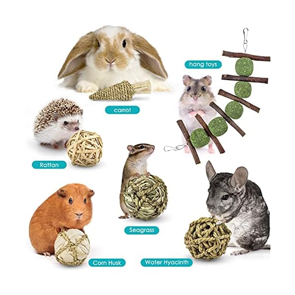 ERKOON Guinea Pig Treat Toys, Small Animal Chew Boredom Breaker Natural Rabbit Hamster Teeth Care Molar Grass Balls…