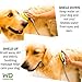 Wondurdog Quality Sink Faucet Pet Wash Kit with Splash Shield Handle and Rubber Grooming Teeth. Fits Kitchen, Bathroom, Utility & Laundry Sink Faucets. Bonus Garden Hose Attachment