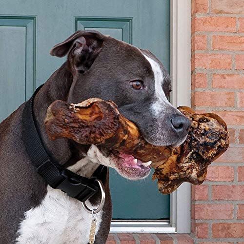 Wally Wags Cow Femur Bone for Dogs 1 Bone Long Lasting Mammoth Dog