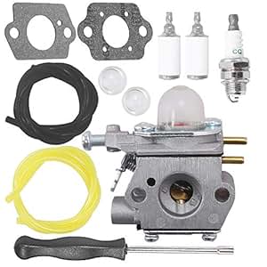 Amazon.com: Anxingo WT-973 Carburetor for MTD Remington RM2510 RM2520