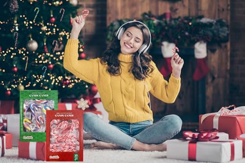 FRUIDLES CHRISTMAS CANDY CANES MINI’S SUCKERS, PEPPERMINT FLAVOR, INDIVIDUALLY WRAPPED, 2″ INCH, NET WT 4.42OZ (125G) (50-PACK)