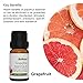 Benatu Citrus Scent Diffuser Oil for Home - (Sweet Orange, Grapefruit, Bergamot) Pure Essential Oil Sets for Soap Making, Body Massage, Aromatherapy