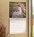 Sandra Kuck - Little Angels Wall Calendar (2017)