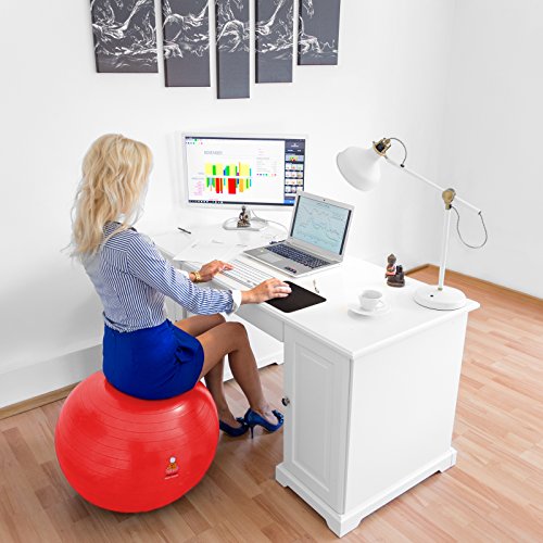 Exercise Ball Stability Fitness Balls | Best Professional Balance Anti-Burst Set – Yoga Large Thick Gym Ball With Pump & Accessories, Extra Pin For Valve, Elastic Loop & Hard Cover Workout Guide…