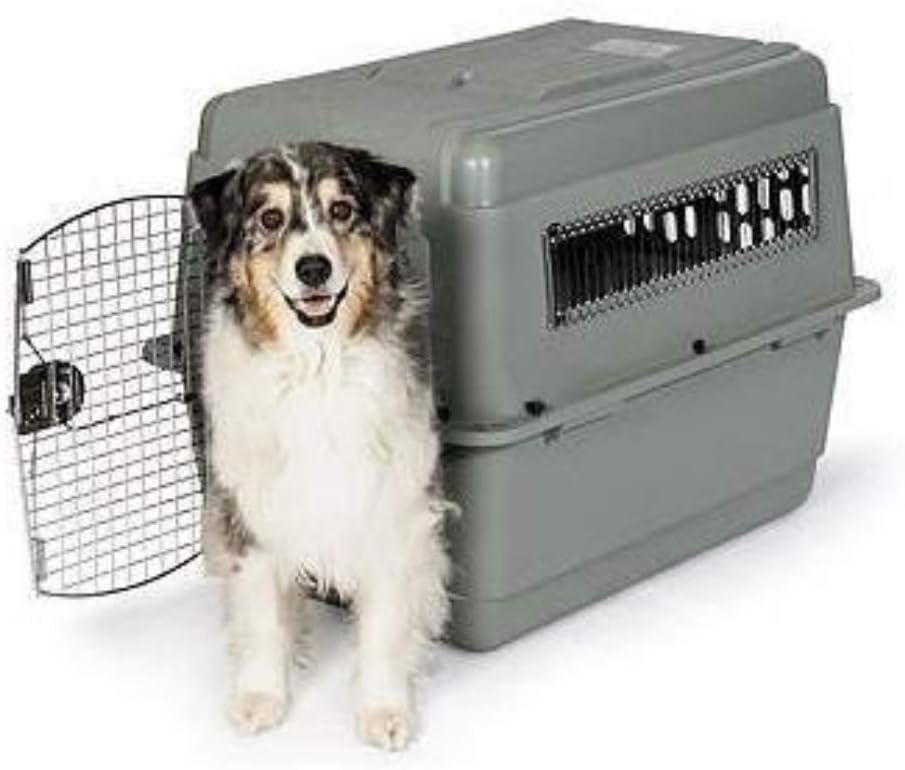 petmate sky kennel airline cargo crate