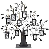 Philip Whitney Metal Family Tree Picture Frames with 10 Hanging Photo Frames