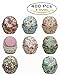 SophieBella 8 kinds Flower Muffin Liner Cupcake-Liner, 400 Count