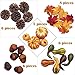 Whaline Thanksgiving Artificial Harvest Pumpkins, Maple Leaves, Gourd, Pine Cones and Acorns Set for Autumn, Fall and Halloween Home Table Decoration, 31 Pieces