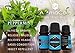 Aromatherapy Essential Oils Gift Set in a EXCLUSIVE WHITE BOX (Lavender, Peppermint, Lemongrass, TeaTree, Eucalyptus, Bergamot) FREE Essential Oil Pendant and ebook