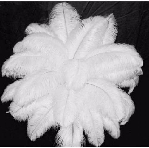 10 PCS Wholesale Quality Natural OSTRICH FEATHERS "12-14" Inch :Newng