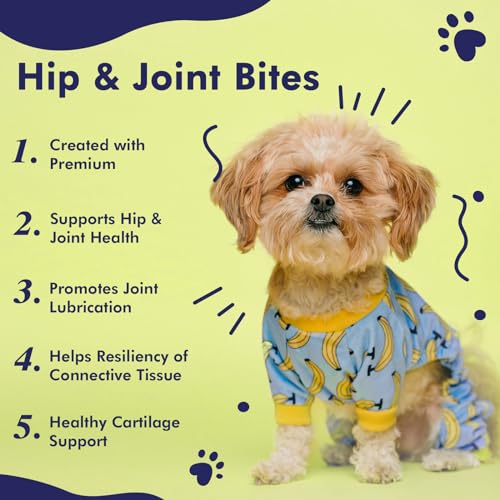 AHALEA MOBILITY BITES DOG JOINT SUPPLEMENT – HIP AND JOINT CHEWS FOR DOGS – PET PRODUCTS WITH GLUCOSAMINE, CHONDROITIN, & MSM + VITAMINS C AND E FOR DOG JOINT RELIEF 60 CT
