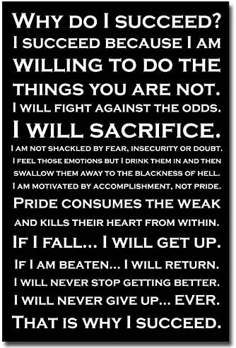 13X20Inch Why Do I Succeed - Inspirational Quotes Art Silk Poster Modern Office Home Decor