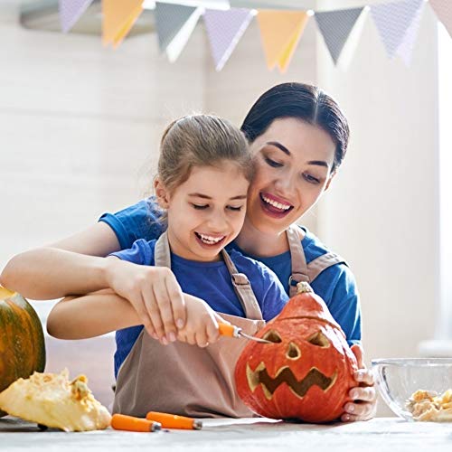 LOVEINUSA 14 Piece Professional Pumpkin Carving Tool Kit Carve Sculpt Halloween Jack-O-Lanterns