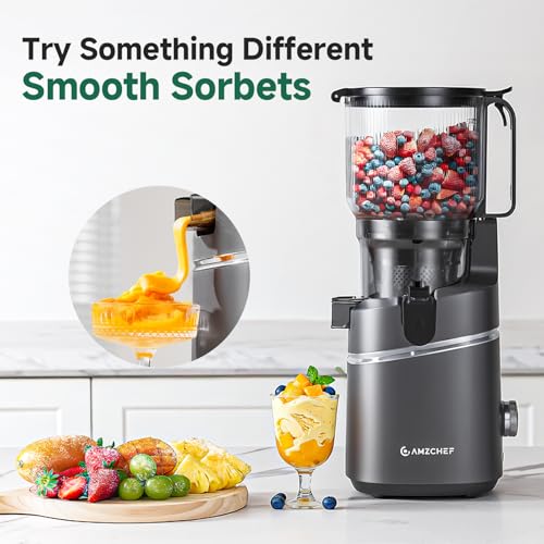 AMZCHEF Cold Press Juicer with 165mm Large Feed Chute, Slow Masticating Juicer for Whole Fruits & Vegetables, Triple Filter, Copper Motor, High Juice Yield, Easy to Clean, Grey