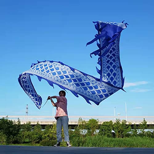 Square Exercise Dance Outdoor Flinging Fitness Dragon POI Wu Long 3D Real-Like Dragon Ribbon Streamer Set (26.2ft, Celadon Dragon)