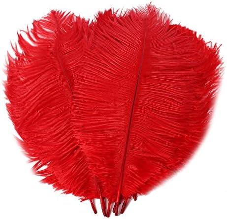Wansu 10pcs Ostrich Feathers 14-16inch(35-40cm) for Home Wedding/Table/Party/carnivals Decoration,Red