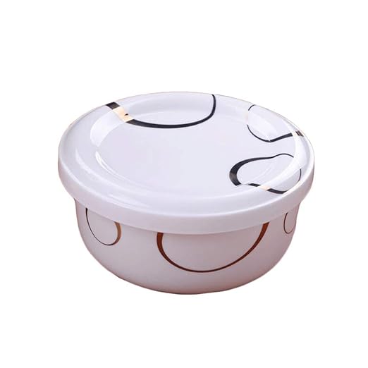 ZL-Porta alimentos Recipiente de Porcelana con Tapa ...