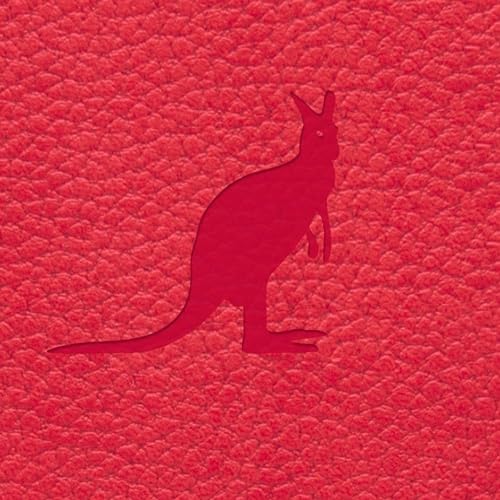 Red Kangaroo