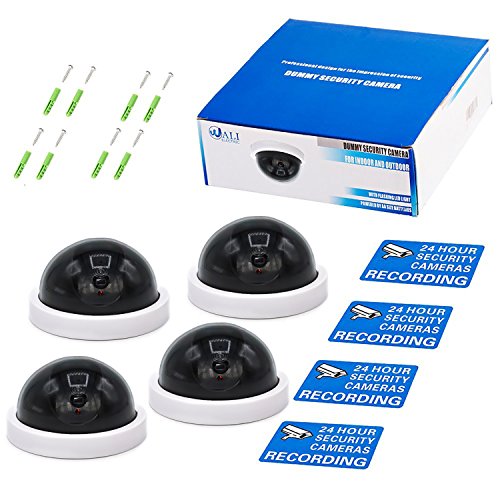 3 WALI+Security+Camera+Flashing+SDW+4
