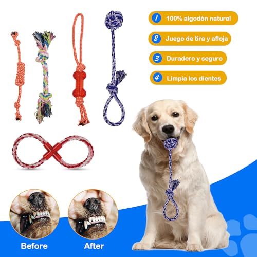 RUISTLI Juguetes para Perro 12 Piezas,Perros Accesorios Interactivo,Juguetes para Perros Ansiosos con Mordedera y Peluches,Juguetes para Perro Grande Cachorros,Cosas para Perros Seguro