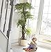 EPESTOEC 6FT Artificial Ficus Silk Tree (70in) with Plastic Nursery Pot, Fake Plant for Living Room Balcony Corner Decor,Indoor-Outdoor Use