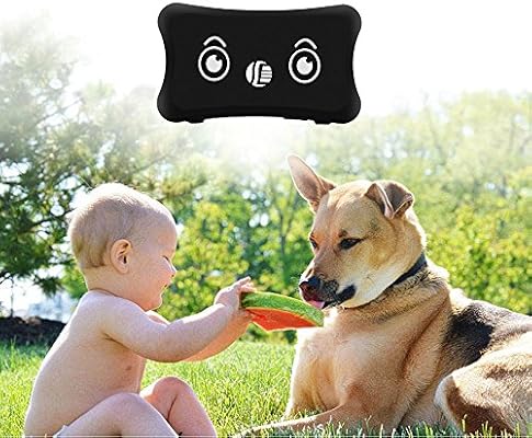 bañeras para perros amazon