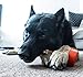 Bully Stick Holder for Dogs - Medium Size - Interactive Dog Toy, Dog Treat Holder, Slow Feeder, Treat Dispenser, Chew Toy and Dog Safety Device