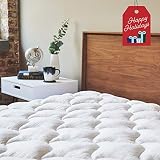 ViscoSoft Anti-Static Mattress Pad Queen | Extra Plush Pillowtop Mattress Topper for Dry Spaces