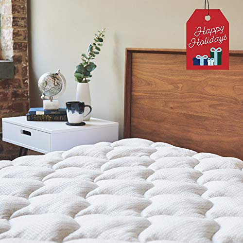 ViscoSoft Anti-Static Mattress Pad Queen | Extra Plush Pillowtop Mattress Topper for Dry Spaces