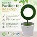 Plant Air Purifier for Desktop Removes Airborne Particles Smoke Air Pollutant Allergen Dust Pollen PM2.5 for Asthma Allergies Smokers Pets Air Cleaner Ionizer Releasing Negative Ions for Home Office