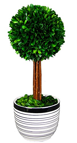 Galt international ball topiary plant with twig stem in striped w…