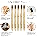 Natural Charcoal Bamboo Toothbrushes (Pack of 5) for Adults with Soft Bio-Based Nylon Bristles - Individually Packed & Numbered, Organic Compostable Plastic Free Packaging
