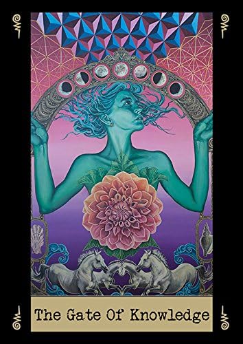Visionary Cards Deck Tarot Deck Oracle by Noa Knafo, self published, amazing!!