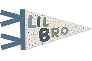 SJDFCSA Boy Nursery Decor, Lil Bro Wall Hanging Pennant Flag Banner, Blue Boho Spot Wall Decorations for Twins Toddler Little Baby Boys Room Bedroom Playroom Nursery Decor
