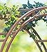 Plow & Hearth Arch Metal Outdoor Garden Arbor | Montebello | 84-in (H) x 53-in (W) x 23-in (D) | Black | Iron Trellis Lattice for Climbing Plants | Wedding | Outdoor Patio Décor