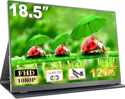 Usparkle 18.5 Inch 120Hz Portable Monitor