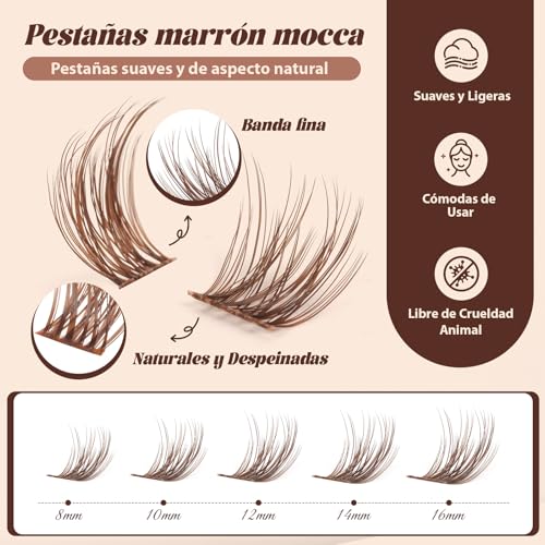 B&Q Pestañas Postizas Kit Completo Marrones Mochalash 01 Extensiones de Pestañas de Racimo Curvatura C de 8-16 mm b&q lashes Completo con Efecto Wispy para Pelo Claro/Oscuro (Set Mochalash 01)